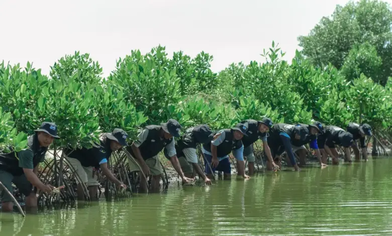 BRI Peduli Dorong Ketapanrame Naik Kelas, Dari Wisata Sawah ke Edukasi Haji