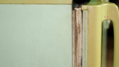 Karet Kulkas Menghitam Bisa Bikin Listrik Membengkak, Begini Cara Menanganinya
