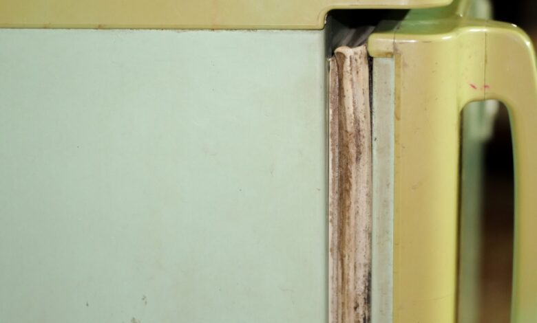 Karet Kulkas Menghitam Bisa Bikin Listrik Membengkak, Begini Cara Menanganinya