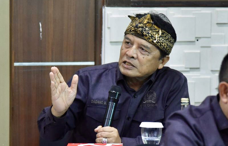 Agroforestri Jadi Jalan Tengah, Revisi UU Kehutanan Tuntut Perlindungan Hutan yang Lebih Tegas