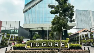 Tiga Lini Bisnis Tugure Masih Bergantung pada Reasuradur Asing, Ini Alasannya