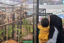 350 Satwa Hadir di The Park Semarang, Libur Sekolah Berubah Jadi Kelas Konservasi