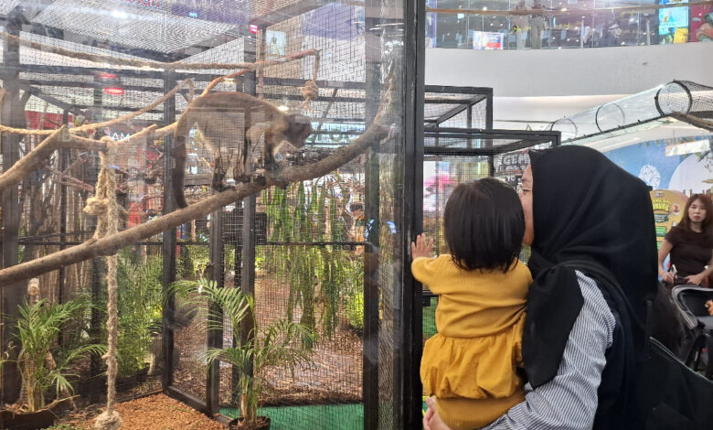 350 Satwa Hadir di The Park Semarang, Libur Sekolah Berubah Jadi Kelas Konservasi
