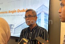 Obat Kolesterol dan Diabetes Tak Merusak Ginjal, Dokter Ungkap Fakta yang Sering Disalahpahami