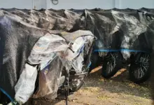 Motor Listrik Dinilai Paling Masuk Akal untuk Distribusi MBG yang Harus Cepat dan Hemat