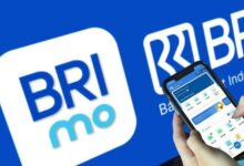 BRImo Kini Bisa Dipakai di China, Wisatawan Indonesia Tak Perlu Repot Tukar Uang