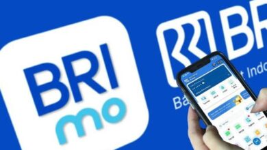 BRImo Kini Bisa Dipakai di China, Wisatawan Indonesia Tak Perlu Repot Tukar Uang