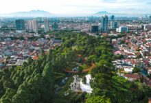 Taman Cattleya Memikat, Tapi Akses dan Fasilitasnya Masih Jauh dari Ideal