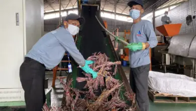 Telkomsel Kejar 100% Limbah Elektronik Dikelola, Begini Cara Recycle, Reuse, dan Refurbish Bekerja