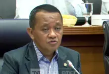 Rp 815,56 Miliar untuk Kompor Listrik, Pemerintah Genjot Tekan Impor LPG
