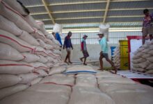 Stok Beras Rekor 5,3 Juta Ton, Bapanas Peringatkan Pedagang Jangan Main Harga