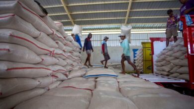 Stok Beras Rekor 5,3 Juta Ton, Bapanas Peringatkan Pedagang Jangan Main Harga