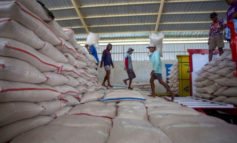 Stok Beras Rekor 5,3 Juta Ton, Bapanas Peringatkan Pedagang Jangan Main Harga