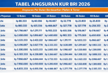 Cicilan KUR BRI Rp75 Juta Bisa Lebih Ringan, Tenor 60 Bulan Jadi Pilihan Terendah
