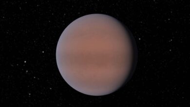 TOI-1883 b Ternyata Sangat Renggang, Super-Neptunus Ini Bikin Ilmuwan Penasaran