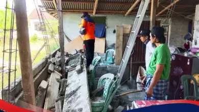 Sesar Sausu dan Palolo Sama-Sama Disebut, Ini Alasan Gempa M 6,7 Sulteng Diperdebatkan