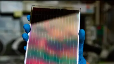 Trina Solar Pecahkan Rekor 907 Watt, Panel Perovskite Kian Mengancam Silikon