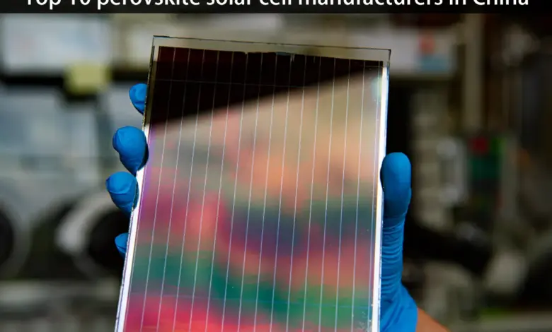 Trina Solar Pecahkan Rekor 907 Watt, Panel Perovskite Kian Mengancam Silikon