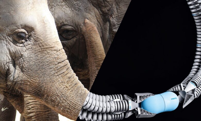 Belalai Gajah Mengajarkan Robot Cara Lebih Tahan, Sensitif, dan Tidak Mudah Rusak