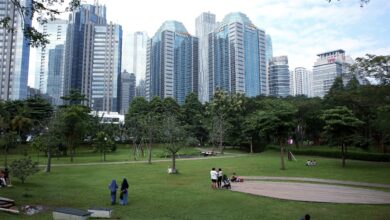 Ruang Hijau Jakarta Baru 5,31 Persen, Warga Kini Ikut Mengawal Taman Kota