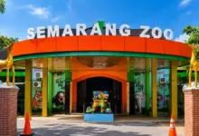 Semarang Zoo Gratiskan Tiket Pelajar Saat Libur Sekolah, Pendamping Cukup Bayar Rp 20.000