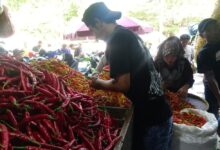 Keyakinan Konsumen Jatim Tembus 122,6, Lebih Tinggi dari Nasional di Tengah Tekanan Global