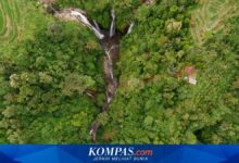 Jatim Punya Aset Perhutanan Sosial Terbesar, Kini Didorong Naik Kelas Lewat Kemitraan Usaha