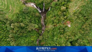 Jatim Punya Aset Perhutanan Sosial Terbesar, Kini Didorong Naik Kelas Lewat Kemitraan Usaha