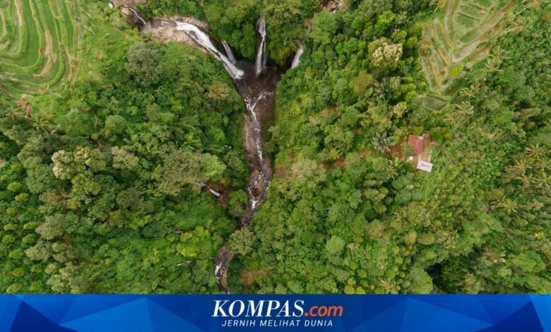 Jatim Punya Aset Perhutanan Sosial Terbesar, Kini Didorong Naik Kelas Lewat Kemitraan Usaha
