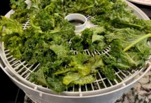 5 Makanan Pemicu Dehidrasi yang Sering Tak Disangka Saat Cuaca Panas