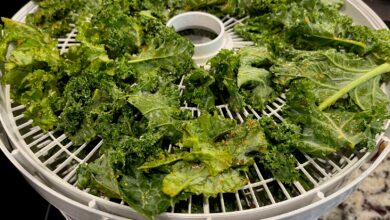 5 Makanan Pemicu Dehidrasi yang Sering Tak Disangka Saat Cuaca Panas