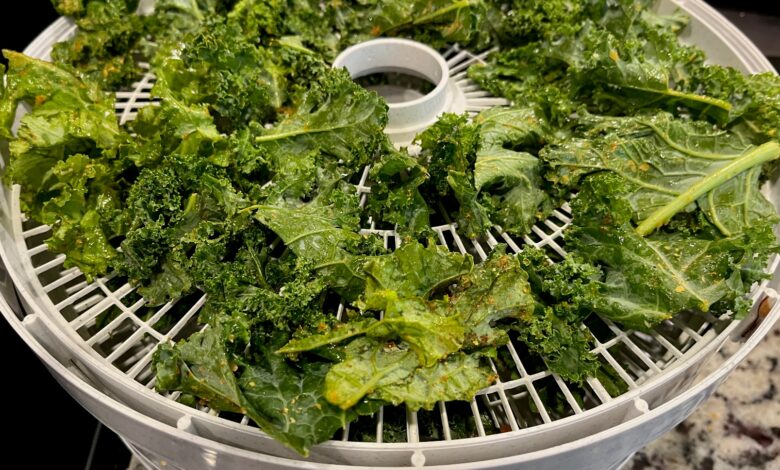 5 Makanan Pemicu Dehidrasi yang Sering Tak Disangka Saat Cuaca Panas
