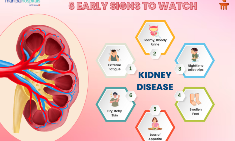 5 Kebiasaan Sehari-Hari yang Diam-Diam Membebani Ginjal, Banyak Orang Tak Sadar