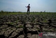 Pasuruan Terdorong Krisis Air Bersih, 211 KK Di Winongan Bergantung Pada Pasokan Tangki