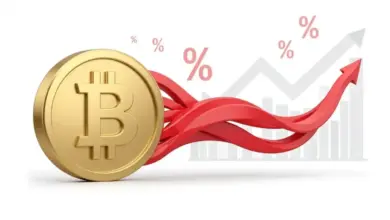 BITA Ubah Bitcoin Jadi Aset Berpendapatan, Tapi Risikonya Tetap Mengintai