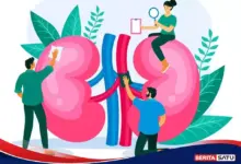 8 Tanda Ginjal Mulai Bermasalah, Sering Muncul Diam-Diam dan Terlambat Disadari