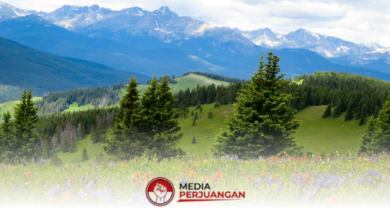 25 Wilayah Jatim Cerah, Pagi Kabut Tipis Diperkirakan Muncul di Beberapa Daerah