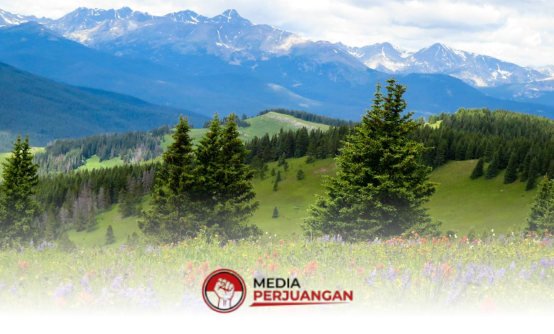 25 Wilayah Jatim Cerah, Pagi Kabut Tipis Diperkirakan Muncul di Beberapa Daerah