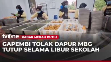 Investasi Dapur MBG Terancam, Gapembi Minta Moratorium Dicabut