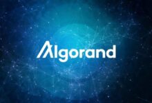 Algorand Kejar Benteng Quantum, Konsensus Inti Masih Jadi Titik Paling Rentan