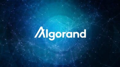 Algorand Kejar Benteng Quantum, Konsensus Inti Masih Jadi Titik Paling Rentan