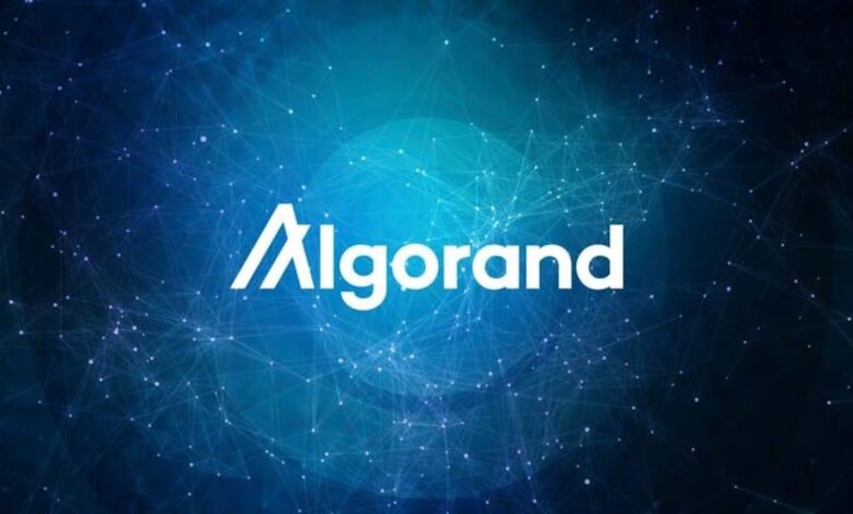 Algorand Kejar Benteng Quantum, Konsensus Inti Masih Jadi Titik Paling Rentan