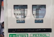 BPCL Bantah Semut Tertarik E20, Ini Penjelasan Ilmiah di Baliknya