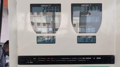 BPCL Bantah Semut Tertarik E20, Ini Penjelasan Ilmiah di Baliknya