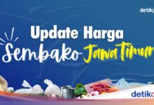 Minyak Goreng Kemasan Premium Tembus Rp 21.695, Belanja Dapur Jatim Makin Tertekan