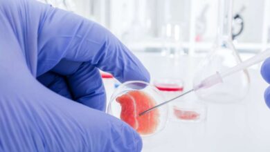 Terapi Stem Cell Makin Dekat Ke Pasien, Dari Perbaikan Kulit Sampai Sendi