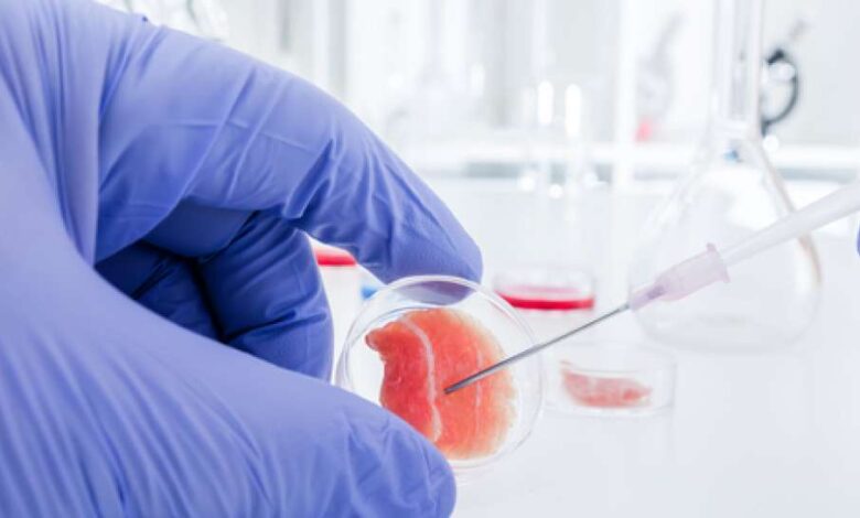 Terapi Stem Cell Makin Dekat Ke Pasien, Dari Perbaikan Kulit Sampai Sendi