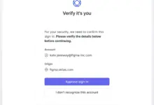 Verifikasi Situs yang Terlalu Sering Muncul Lagi, Pengguna Bisa Terjebak di Pintu yang Sama