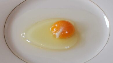 4 Tanda Telur di Kulkas Sudah Tak Layak Masak, Bau dan Warna Jadi Sinyal Awal