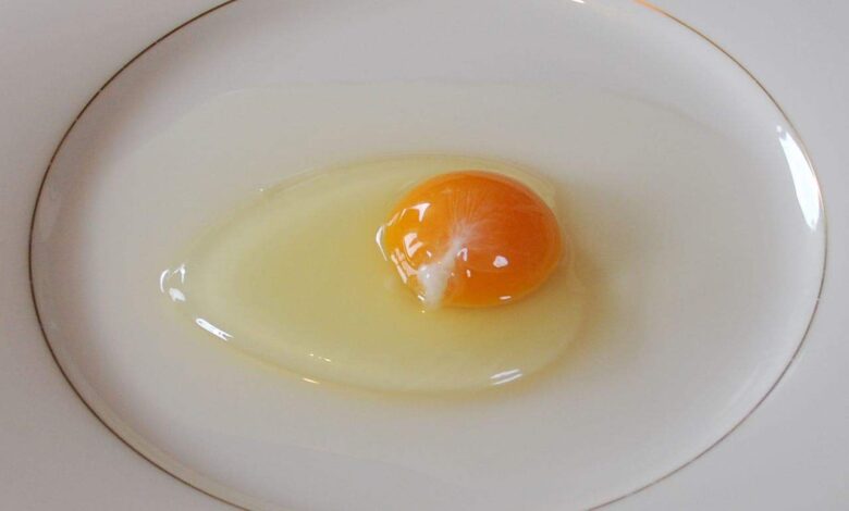 4 Tanda Telur di Kulkas Sudah Tak Layak Masak, Bau dan Warna Jadi Sinyal Awal